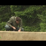 Landon Collects Stock Footage in Mt. Raineer Ntnl Forest