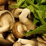 Basil and Mushrooms