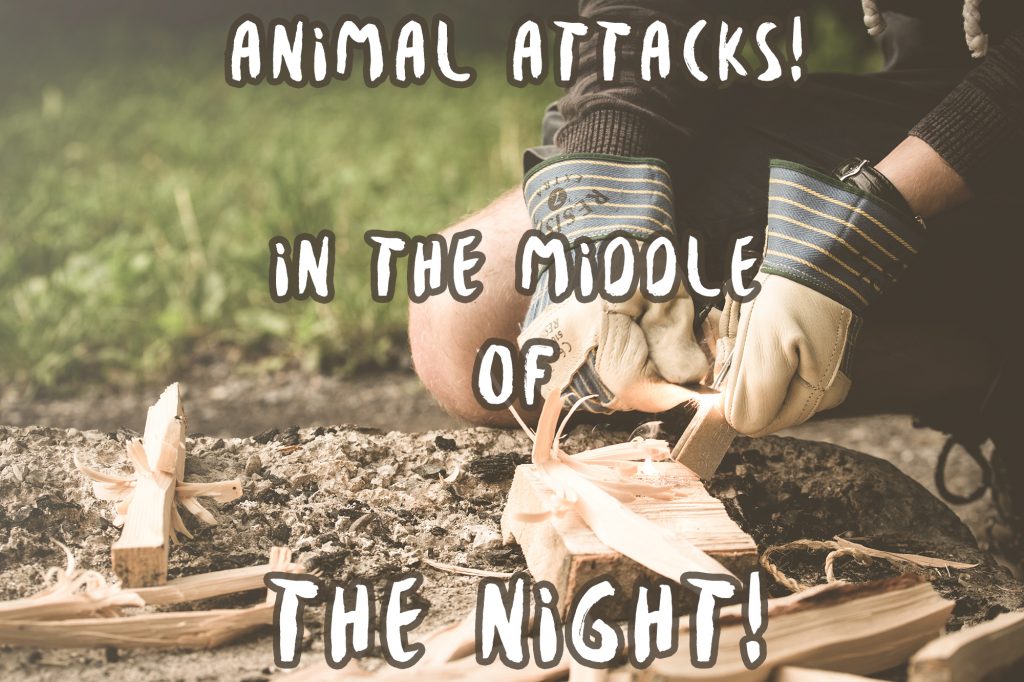 Animal Attacks In the Middle of the Night – A Story